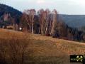 SDAG Wismut Schuf 82 bei Niederlauterstein im Revier Marienberg, Erzgebirge, Sachsen, (D) (14) 02.03.2014.JPG